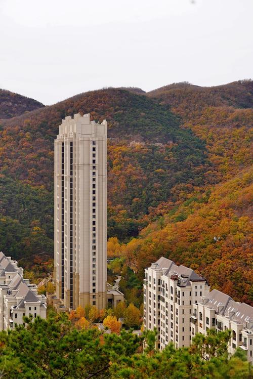 8.大連億達(dá)建設(shè)工程有限公司.jpg